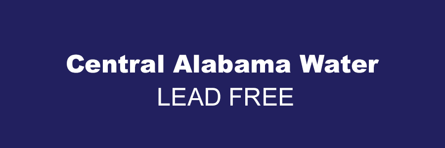 Lead
